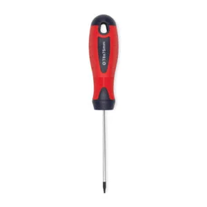 BR2817-TORX:DEST.CORTO T 6 (3X75MM) BREMEN®